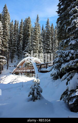 Rainbow Bridge in Winter Stock Photo