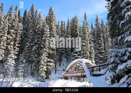 Rainbow Bridge in Winter Stock Photo