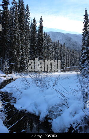 Rainbow Bridge in Winter Stock Photo