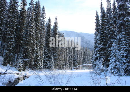 Rainbow Bridge in Winter Stock Photo