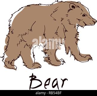 Brown bear side view close-up on white background. Wild animal stands on four paws. Vector illustration of terrestrial predaceous mammal banner. Stock Vector