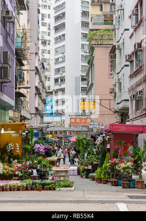 Small flower market along Gresson St, Wan Chai, Hong Kong Stock Photo