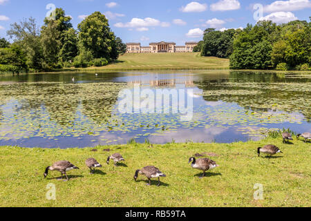 Canada geese beside the lake at Stowe House Gardens, Buckinghamshire UK Stock Photo