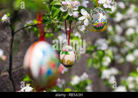 Easter egss hanging on the twig of apple tree in the garden Stock Photo