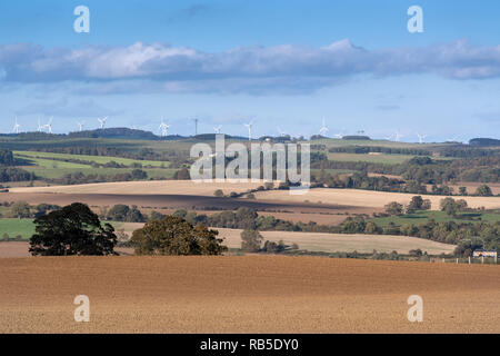 Arable farmland near Hexham, Northumberland, with wind turbines on the horizion. UK. Stock Photo