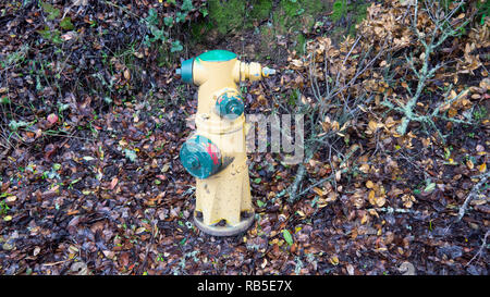 Fire Hydrant in Wet Leaves Stock Photo