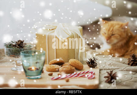 christmas gift, cookies and cat lying in bed Stock Photo