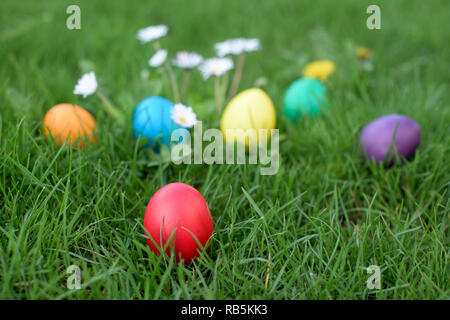 Red hen egg in a garden in front of other Easter eggs Stock Photo