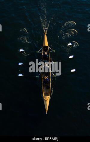 Close-up of a powerful Rowing Team in a Rowing Boat. Stock Photo