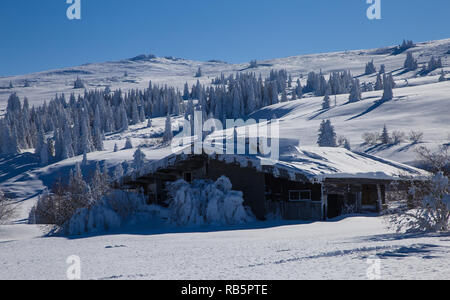 Mountain view with spruce trees covered by snow and a mountain hut. Beautiful winter landscapes of Vitosha mountains, Bulgaria. Frost nature Stock Photo