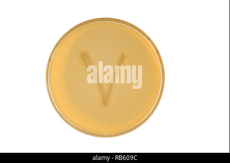 Alphabet made of bacteria escherichia coli culture on LB agar plate - letter v Stock Photo