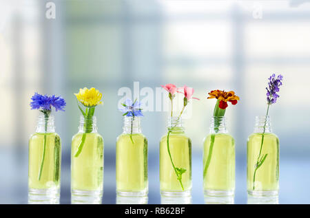 Different healing flowers in small glass bottles essential oil Stock Photo