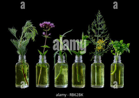 Different healing flowers in small glass bottles on black Stock Photo