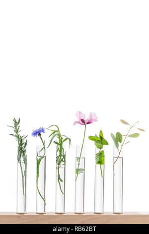 Beautiful flowers on test tube in laboratory, scientist experiment on biology and chemistry. Stock Photo