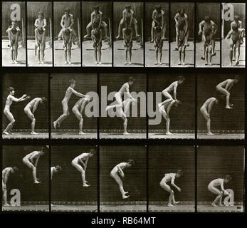 Animal locomotion electro-photographic investigation of consecutive phases of animal movements. Created by Eadweard Muybridge (1830-1904) English photographer important for his pioneering work in photographic studies of motion, and early work in motion-picture projection. Dated 1887 Stock Photo