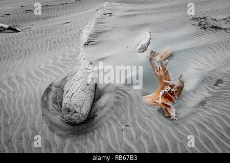 Old logs washed up on windswept beach with orange color splash on monochrome Stock Photo