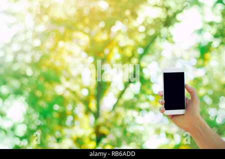 hand holding a mobile smartphone in the park. telephone dependence, social networks. work on the Internet. write message. sunny day. nature, open air. Stock Photo