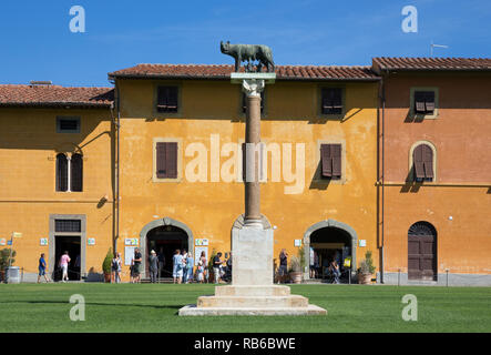 Column with Romulus, Remus and capitoline wolf, Pisa, Italy. Stock Photo