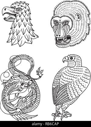 Head of Wild Animal Predator. Eagle Falcon Monkey Face and Chinese Dragon. Japanese Style Portraits. Hand drawn Engraved Monochrome Old Sketch for retro logos. Stock Vector