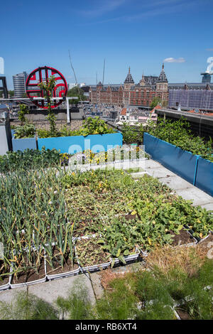 The Netherlands, Amsterdam, Roof of Barbizon Hotel, vegetable garden. Background Central Station. Stock Photo