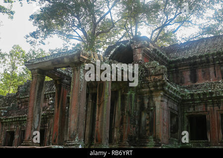 Early morning mist over Ta Kou (East Gate) entrance to Angkor Wat, Siem Reap, Cambodia Stock Photo