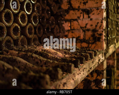 Forgotten bottles in an ancient wine cellar Stock Photo