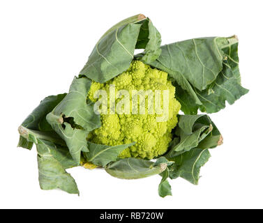 Romanesco cabbage with leaves on a white background Stock Photo