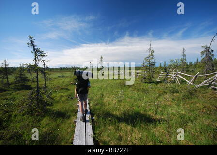 Man hiking in national park Urho Kekkonen in Finland. Walk over large swamp area Stock Photo