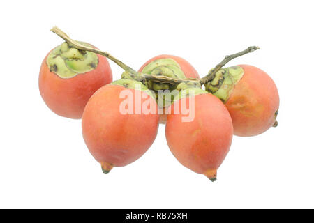 betel nut or Areca nut, isolated on white background Stock Photo