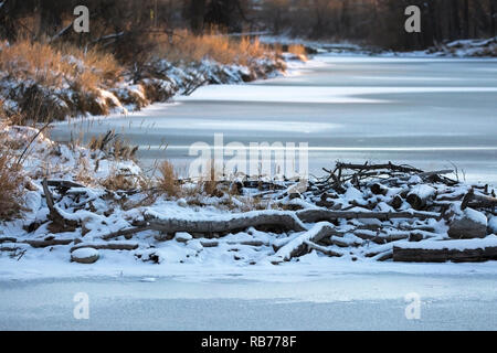 Beaver dam across frozen stream in winter Stock Photo