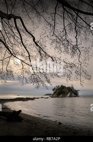 Whytecliff Park, West Vancouver, BC. Whyte Island in, Whytecliff Park, is accessible for climbing and exploring at low tide. West Vancouver, British C Stock Photo