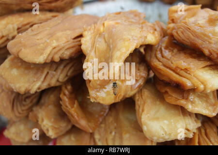 A honey bee sitting on Khaja - An Indian sweet dish Stock Photo