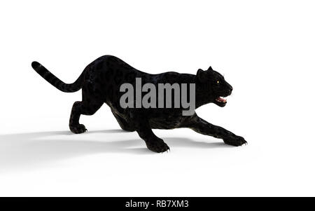 3d Illustration Black Panther Isolate on White Background with Clipping Path, Black Tiger Stock Photo