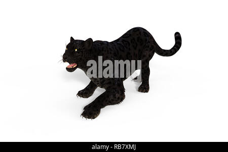 3d Illustration Black Panther Isolate on White Background with Clipping Path, Black Tiger Stock Photo