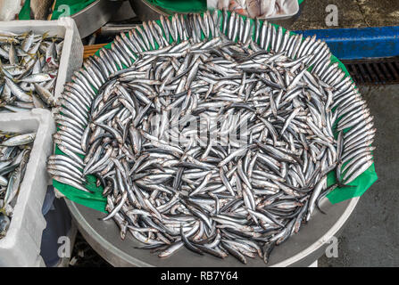 Anchovy fish on the fish shop in Istanbul. Stock Photo