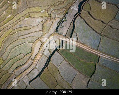 Aerial view of a dirt road accross paddy fields in Nepal. Winter season. Stock Photo