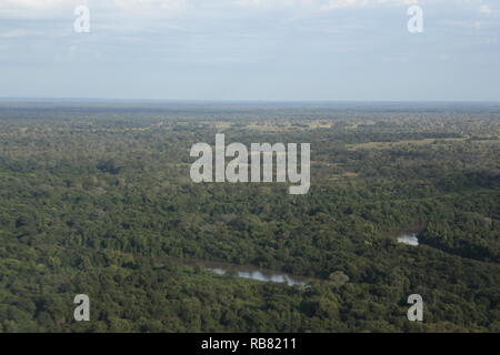 Amazing Pantanal seeing from airplane. Stock Photo