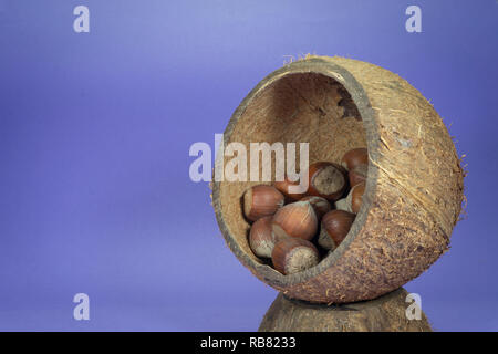 Pile of whole hazelnuts with shells in natural coconut shell cup on bright blue background Stock Photo