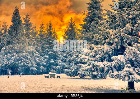 Majestic sunset in the winter mountains landscape. HDR image Stock Photo