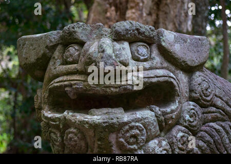 Miyazaki, Japan - November 4, 2018: Old stone lion dog guardian, Komainu, close up at the Miyazaki Jingu shrine Stock Photo