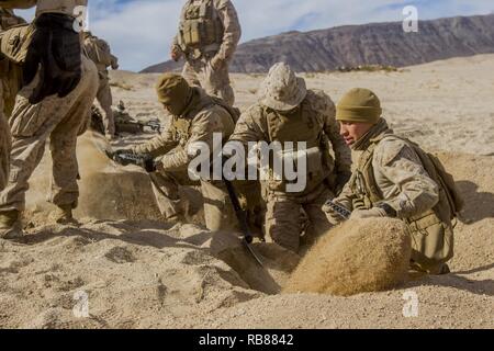 In the Western Desert, 1st Battalion Durham Light Infantry soldiers ...