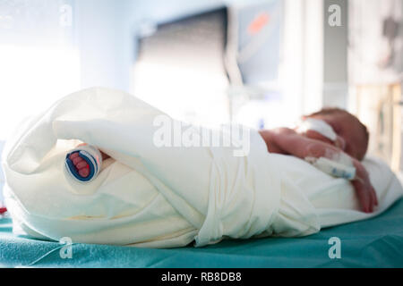 A premature baby is sleeping in his incubator (neonatalogy department). Hospital. Stock Photo