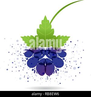 Blackberry splash vector isolated on white background Stock Vector