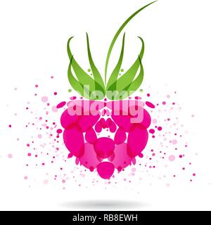 Raspberries splash vector isolated on white background Stock Vector