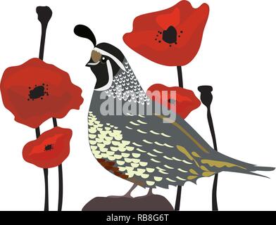 vector illustration of a quail and red poppies seamless background. Stock Vector