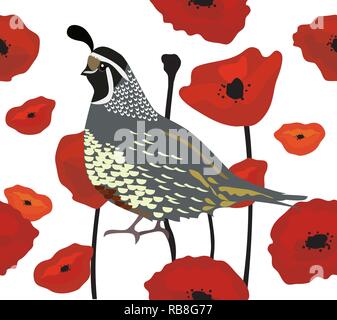 vector illustration of a quail and red poppies seamless background. Stock Vector