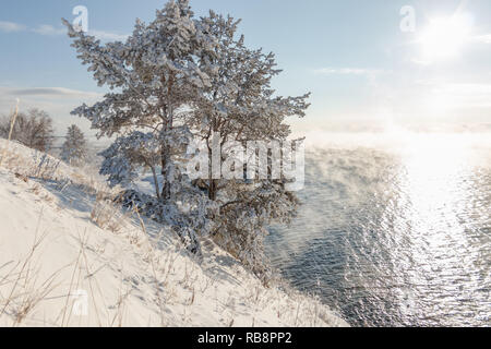 tree covered with ice and snow on the shore of the soaring lake Baikal in winter Stock Photo