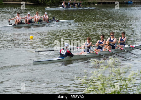 Rowing crews competing at Shrewsbury Regatta on the River Severn at Shrewsbury, Shropshire, England, UK Stock Photo