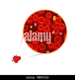 Erythrocytes with white blood cells and cholesterol, blood composition concept illustration isolated on white Stock Vector
