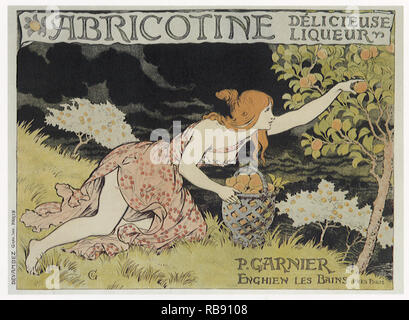 Woman Picking Apricots Stock Photo